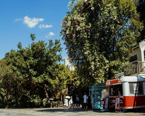 People walking in the park enjoying sunny weather and mobility