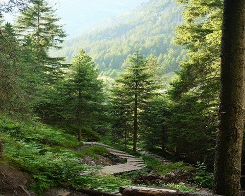 Beautiful landscape of a forest trail for hiking and active lifestyle